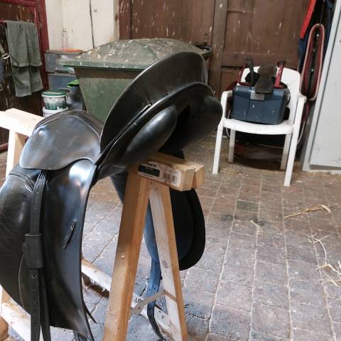 Selle Pasier Grand Ghilbert