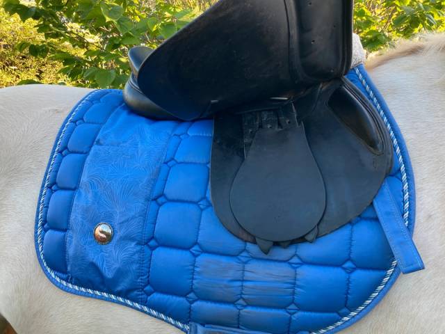 Selle enfant obstacle Michael Whittaker – 15 pouces