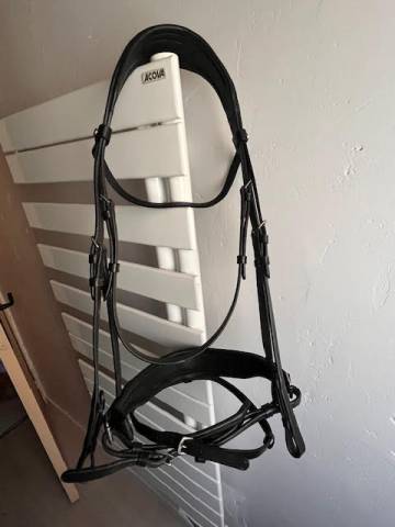 Bridon de dressage