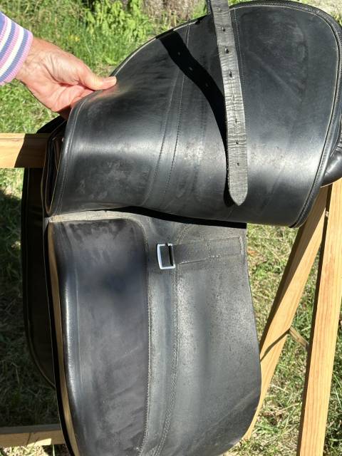 Selle dressage Carlos Pinto 