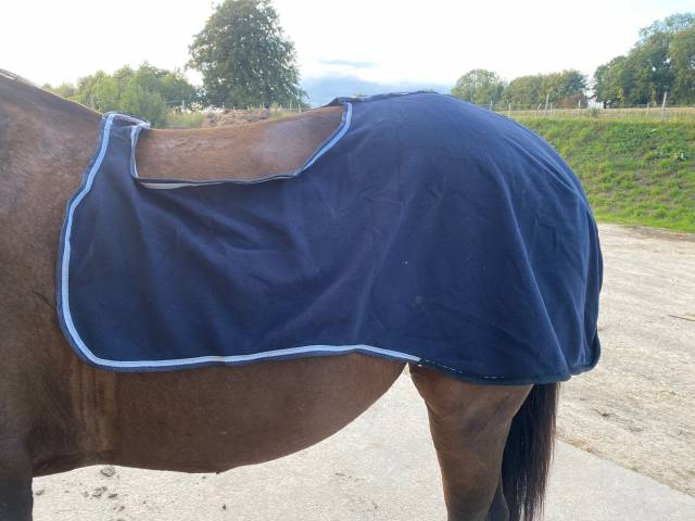 Couvre Reins 3 en 1 - Fouganza - TCob