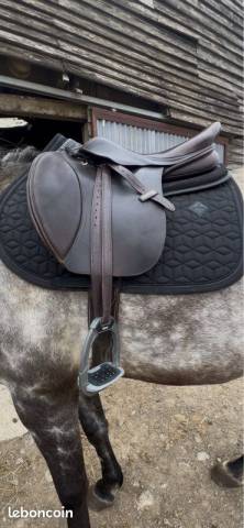 Selle Dalso Gold by Tattini 17.5