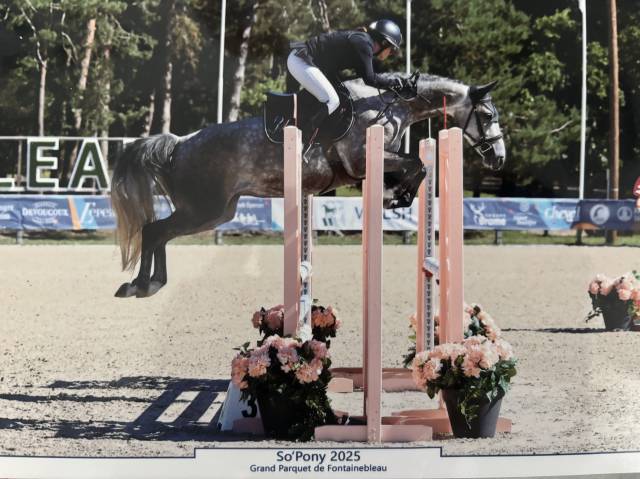 Ponette PFS