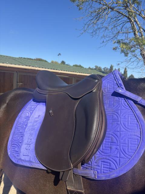 Selle wintec 500 hart 