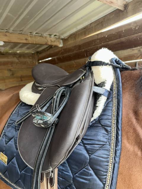 selle norton pro mixte