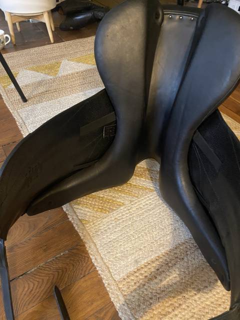 Selle Forestier  Aachen 2023 17.5