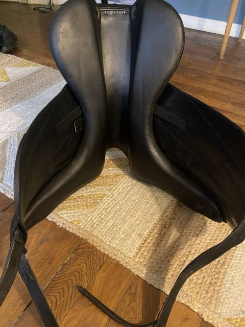 Selle Forestier  Aachen 2023 17.5