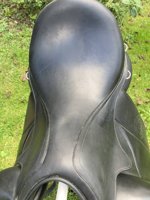 Forestier Aachen 17,5 noire 2021