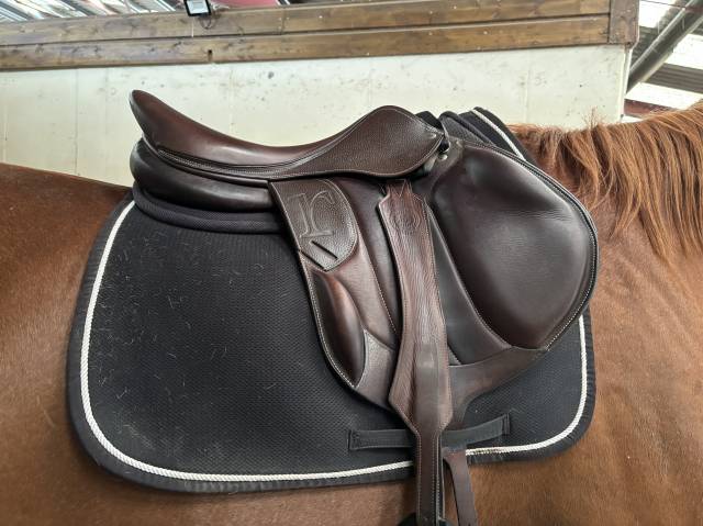 Selle rebelle 17,5 année 2023