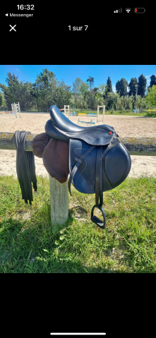 Selle prolight 