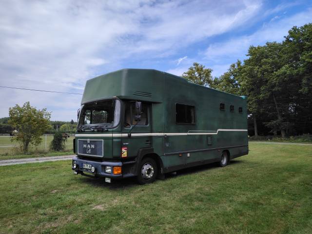 Camion chevaux Man ❗Nouveau numéro tel❗