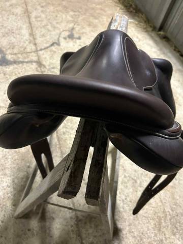 Selle Arion 17"5