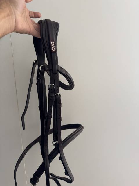 Bride anatomique CWD