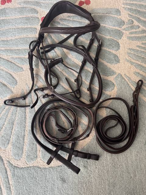 Bride anatomique CWD