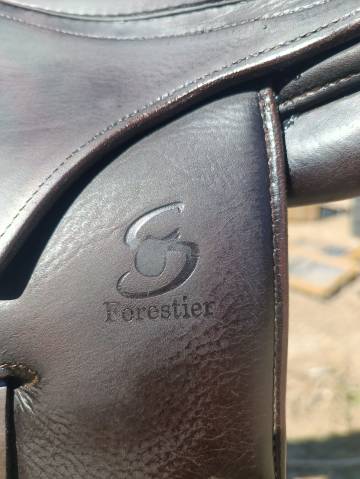 Selle monoquartier forestier 