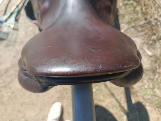 Selle monoquartier forestier 