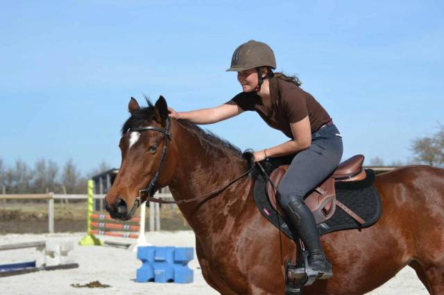 Selle Ikonic Evolution Cross Monoquartier