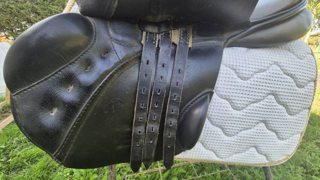 Vends selle obstacle Passier-Marcus Hening, 17 pouces