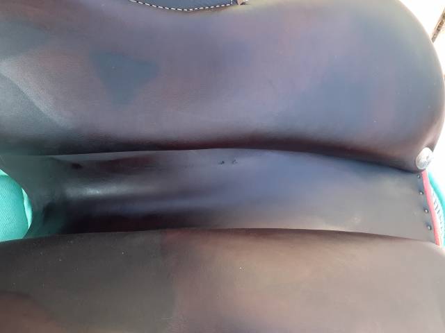 Selle GBS semi-creuse 17 pouces marron