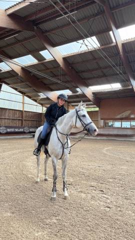 Chouette jument Z!