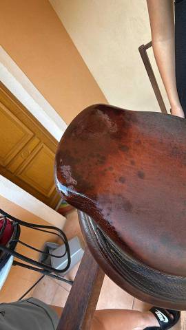 Selle delgrange de 2008 