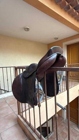 Selle delgrange de 2008 