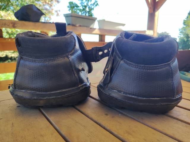 Hipposandales Équine fusion active jogging 14