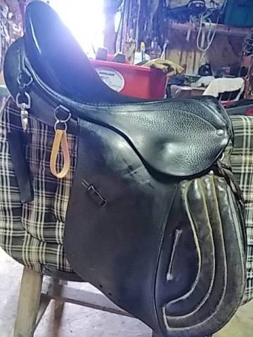 Selle moll