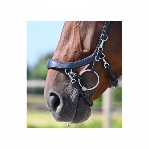 Bridon Faysport Presteq - Presteq 