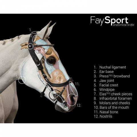 Bridon Faysport Presteq - Presteq 