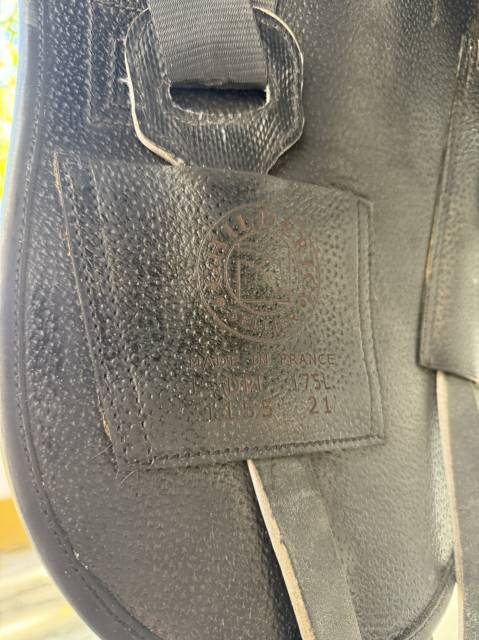 Selle childeric DPL 175