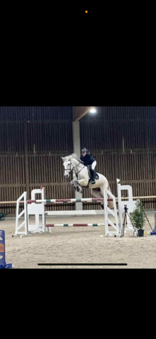 Cheval de sport d’obstacle à vendre 