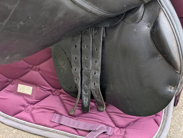 selle prestige Meredith 