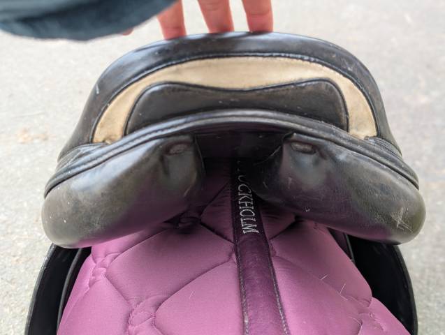 selle prestige Meredith 