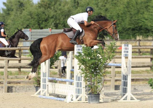 Top jument 6 ans 