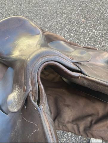 Selle d’entraînement 