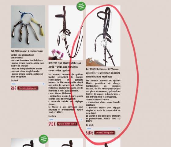 Filet G2 Little Master Alain Ventre