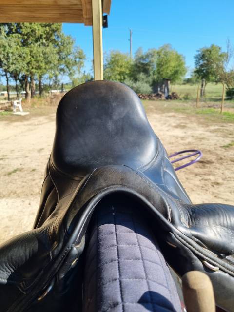 Selle de dressage Antares Concept 