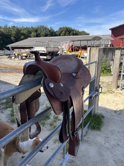 Selle western 