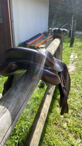 Selle CWD 17’ châtaigne 