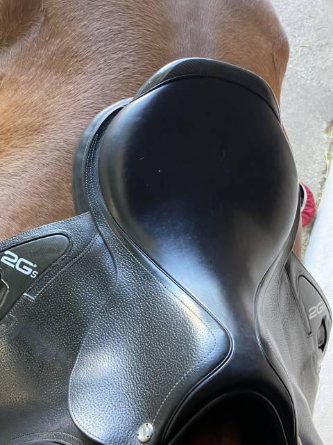 Selle CWD 2023 cause problème santé 