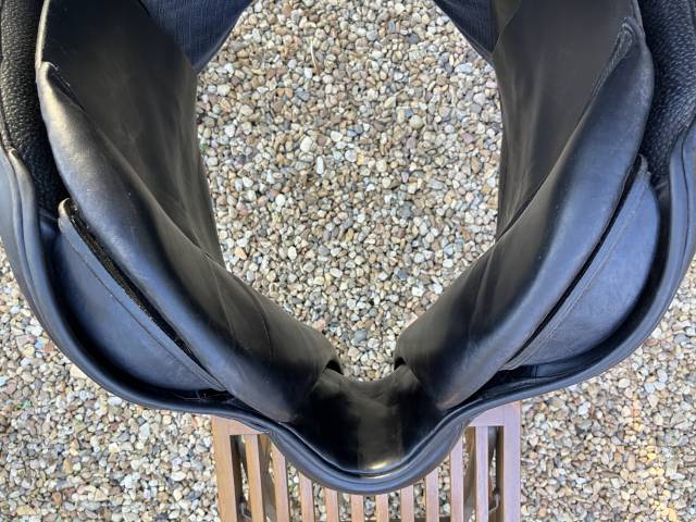 Selle CWD 2023 cause problème santé 