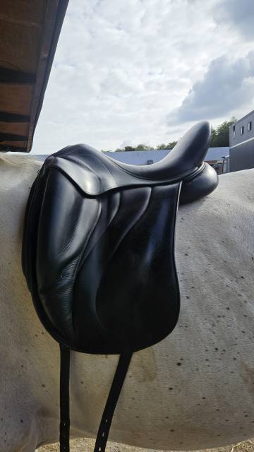 Selle Dressage Antares 17'