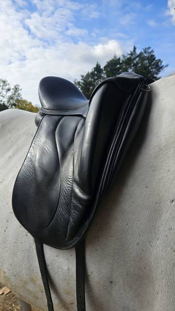 Selle Dressage Antares 17'