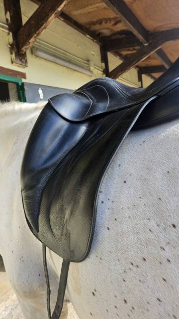 Selle Dressage Antares 17'