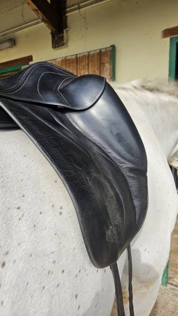 Selle Dressage Antares 17'