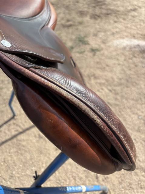 Selle obstacle Antares Confort