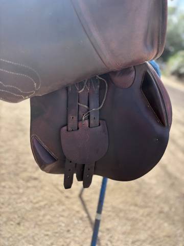 Selle obstacle Antares Confort