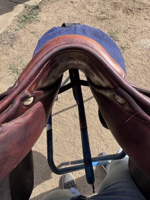 Selle obstacle Antares Confort