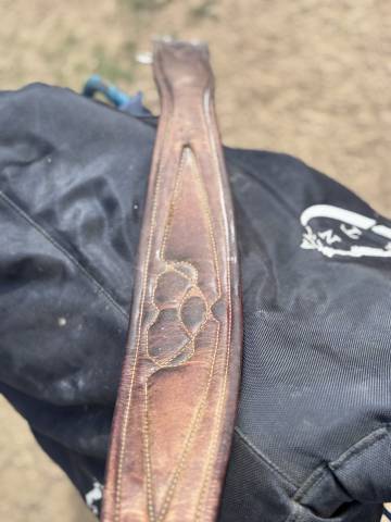 Selle obstacle Antares Confort